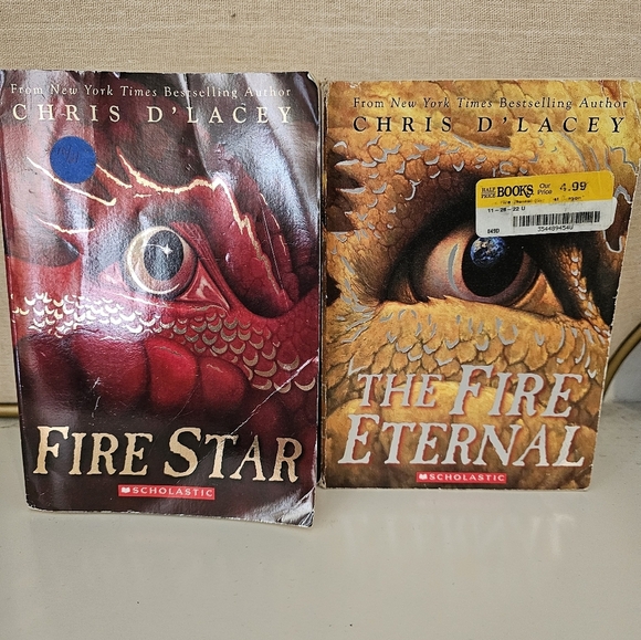 Last Dragon Chronicles 6 book series Chris D'Lacey - Picture 3 of 4